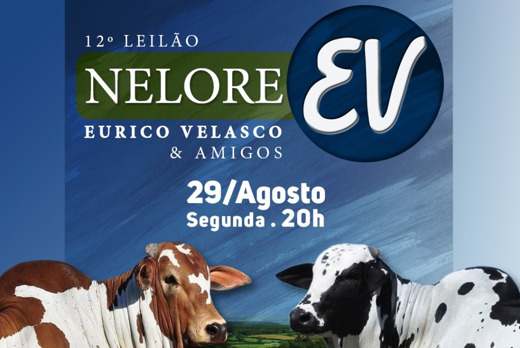 Nelore Pintado EV oferta 45 animais, hoje no Canal do Boi
