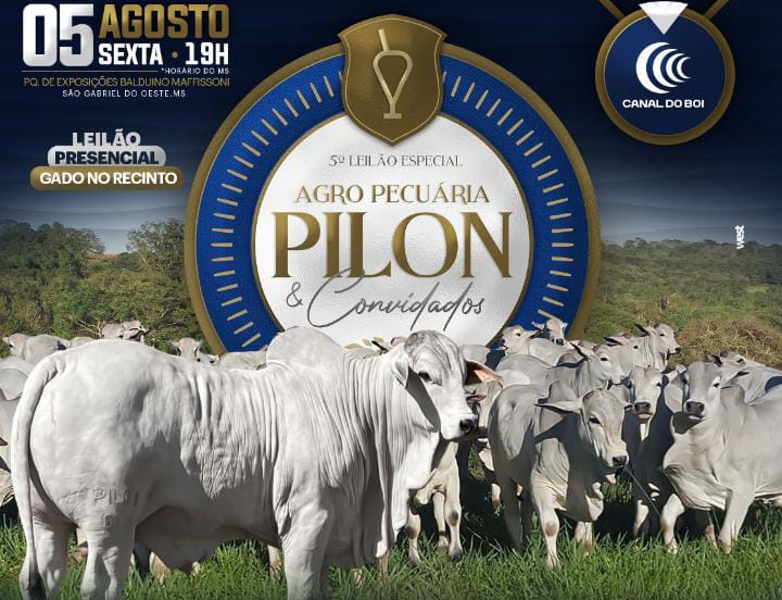 Agropecuária Pilon oferta 1.400 animais de corte no Canal do Boi
