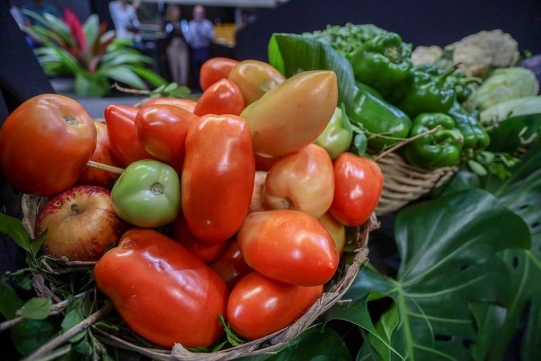 Desenrola renegociará dívidas de agricultores familiares 