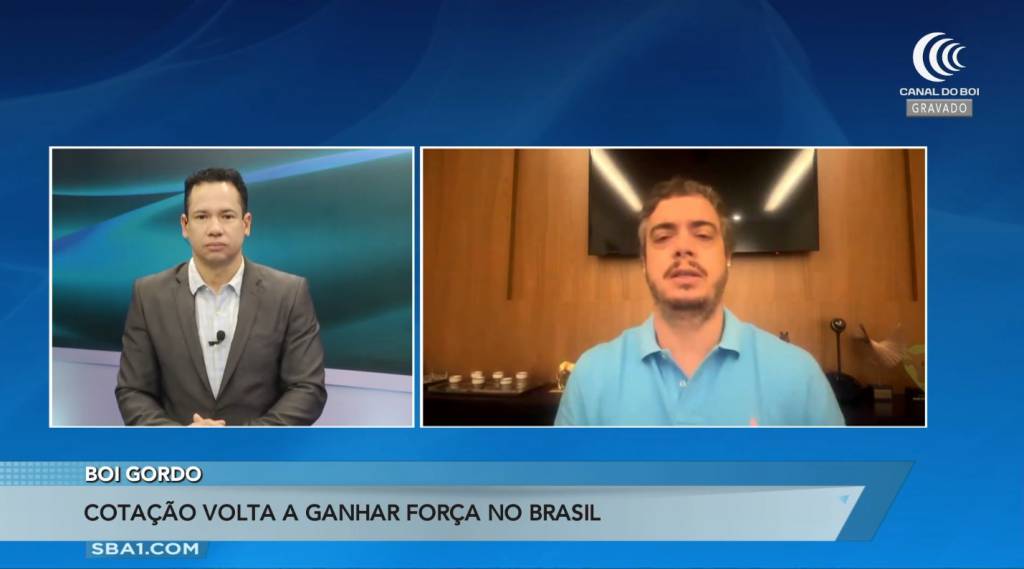 Cotação do boi gordo volta a ganhar força no Brasil