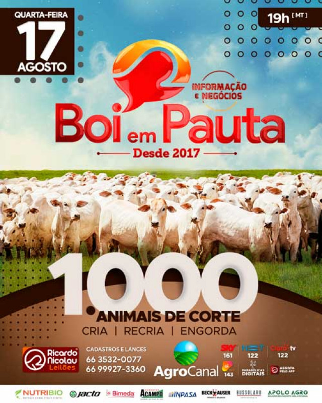 Boi em Pauta oferta 1.000 animais nesta quarta no AgroCanal