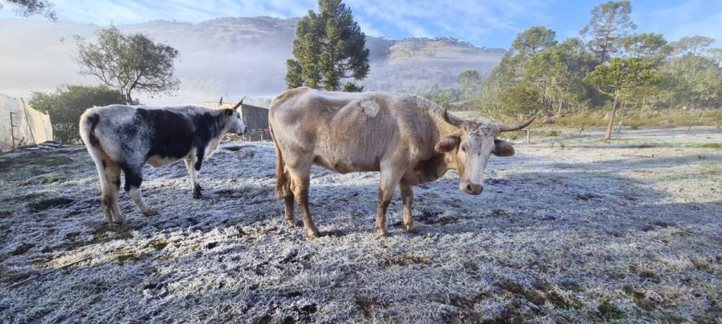 Frente fria avança pelo Sul do país nesta quinta. Veja no AgroClima 
