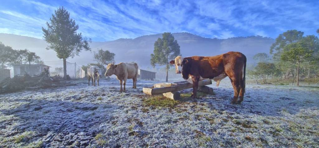 Nova frente fria deixa a sexta gelada no Sul do país. Veja no AgroClima