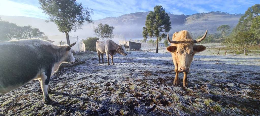 Quinta-feira será fria no Sul do país. Veja no AgroClima