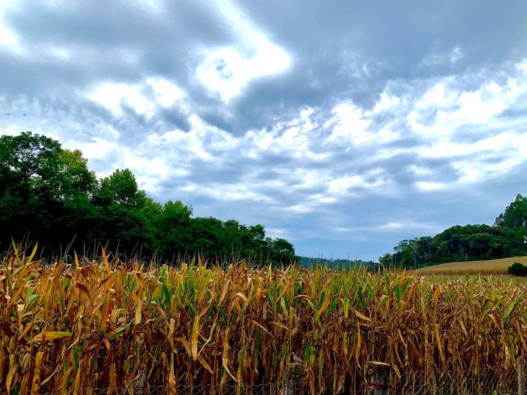 Agroclima: chuvas diminuem, mas frio deve permanecer no Sul do país