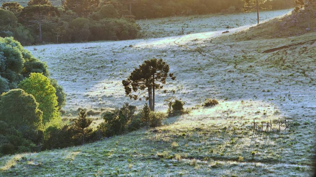 Serra Catarinense amanhece congelada 