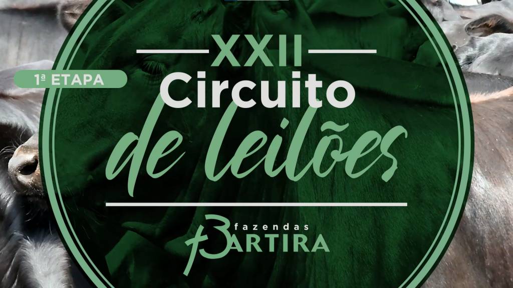 Hoje: veja o 22º Circuito de Leilões Fazendas Bartira e melhore seu rebanho