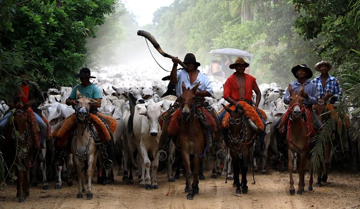 Marketing quer levar a carne pantaneira para outros mercados