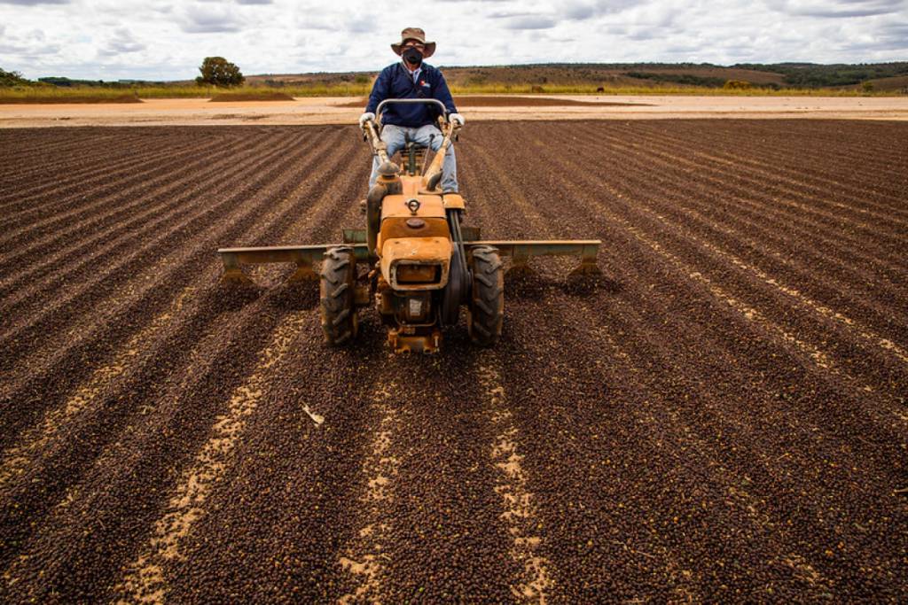Produtores podem pagar contribuição sindical rural até dia 22 de maio