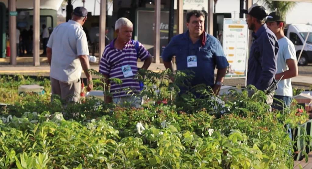 Coopercitrus Expo 2022 apresenta ações sustentáveis para produção agrícola