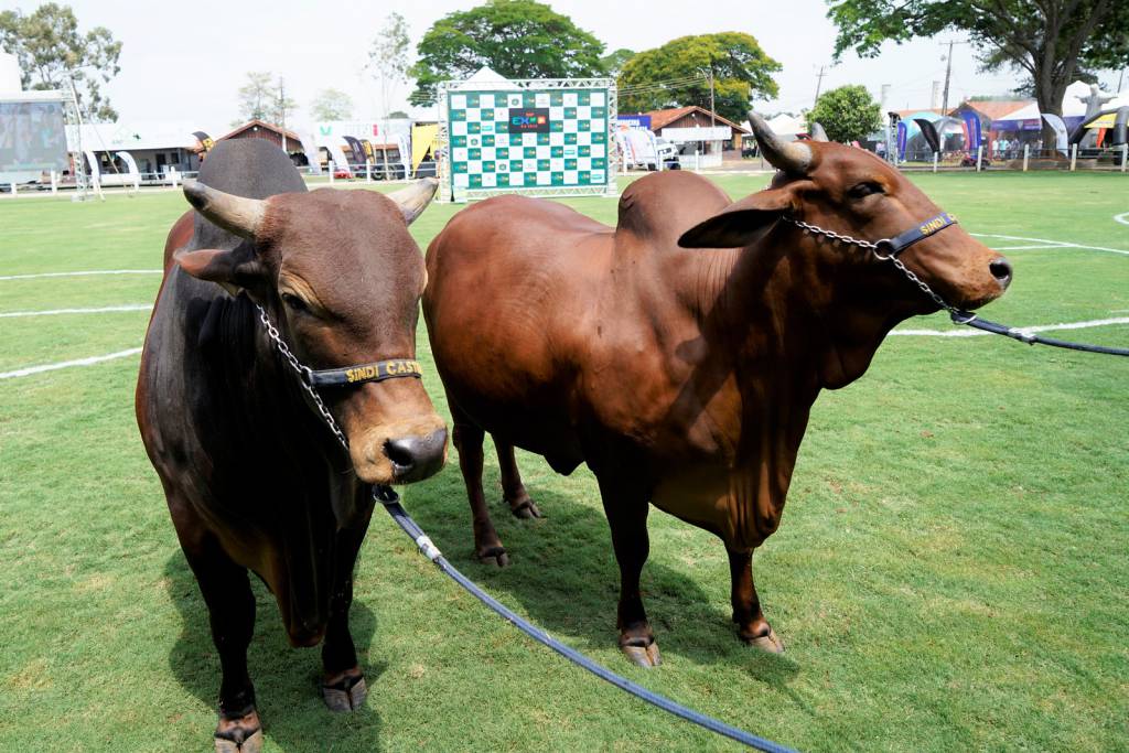 59ª Expo Rio Preto supera R$ 8,1 milhões em negócios realizados