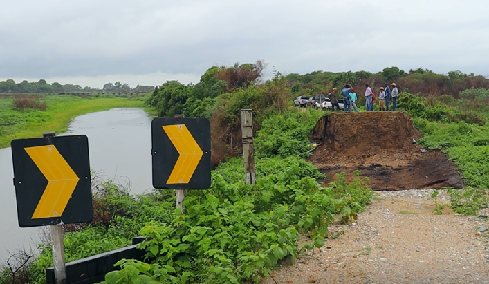 Falta de pontes prejudica pecuaristas no Pantanal 