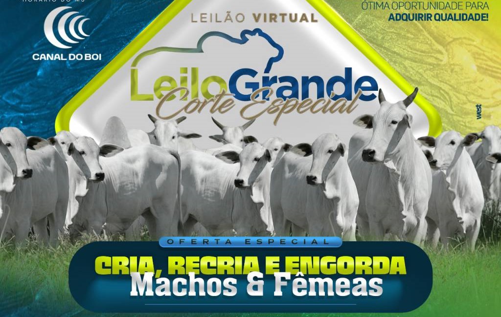 Canal do Boi: assista o leilão virtual da LeiloGrande neste domingo