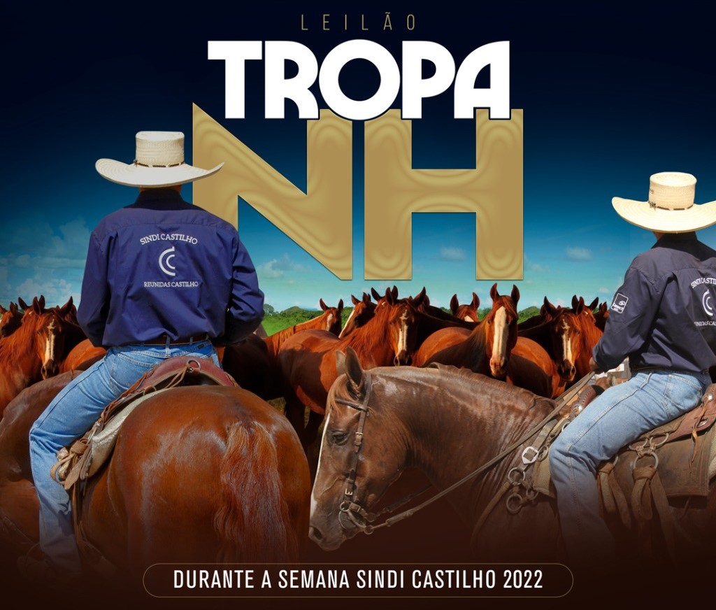 Leilão Tropa NH oferta cavalos de alto padrão neste sábado
