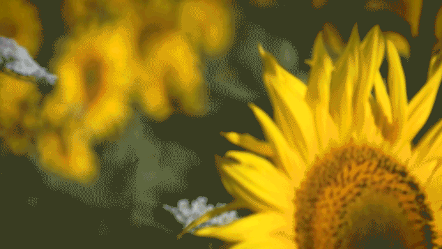 Primavera começa hoje com muita chuva no país