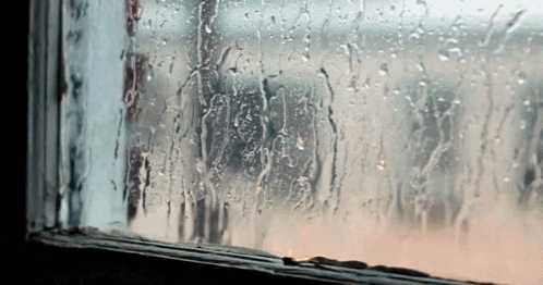 Semana começa com chuva em diversas regiões do país