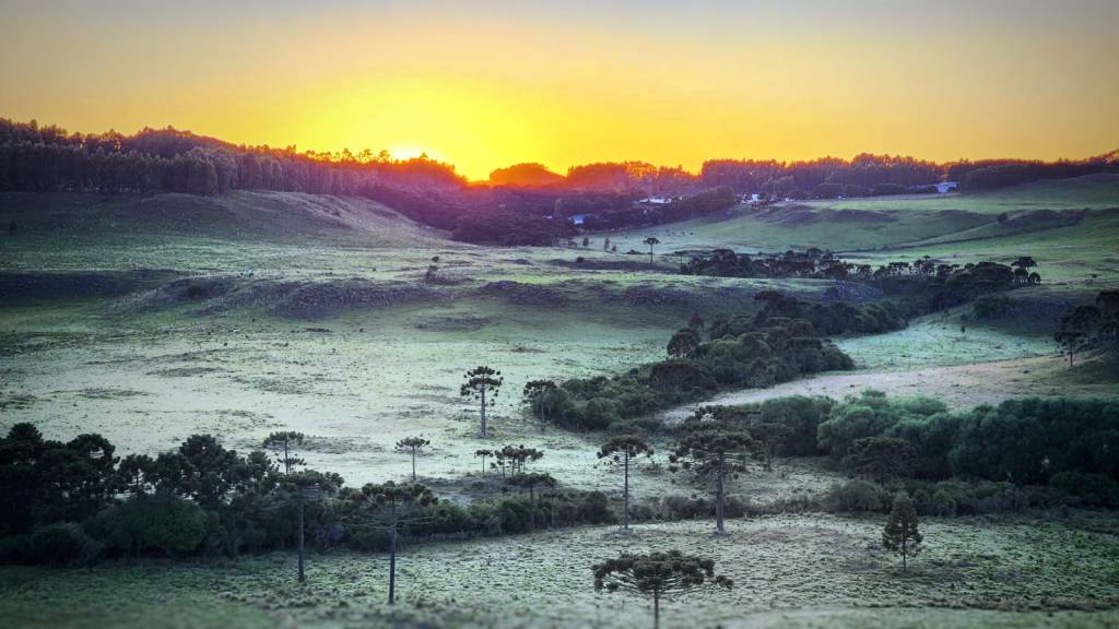 Serra Catarinense registra primeira geada de 2023