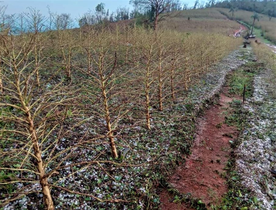Previsão de granizo no Sul do país nesta quinta-feira