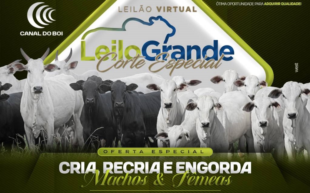 Veja o leilão 'Leilogrande & WF' hoje, no Canal do Boi