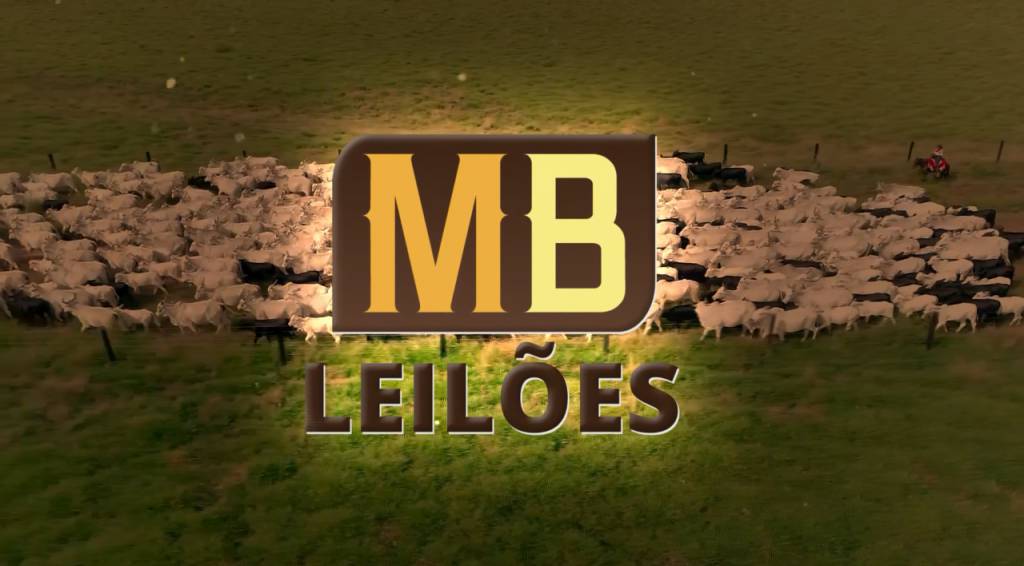 Imperdível! Hoje tem o tradicional leilão de corte da MB Leilões 