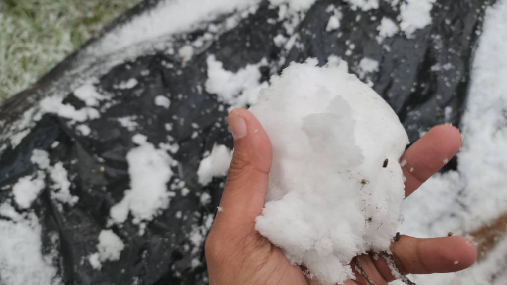 Primavera tem neve e frio de -1,5 grau na Serra Catarinense