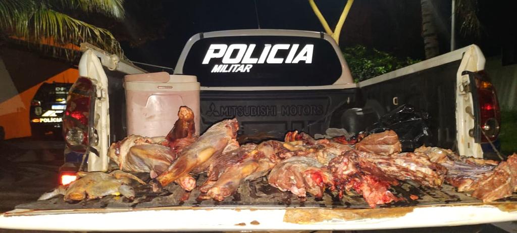 Dois são presos na BR-419 em MS com carne de caça