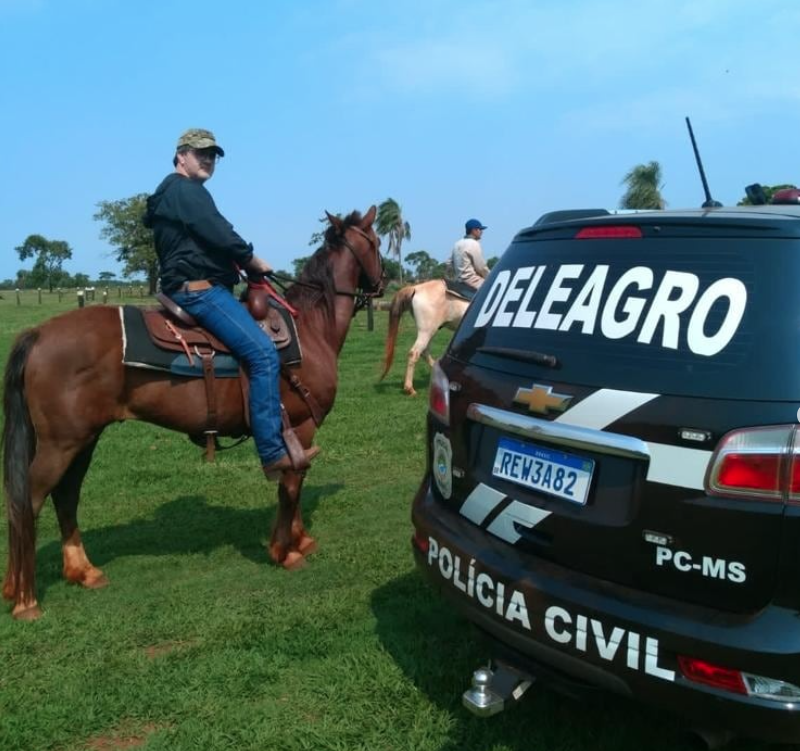 Deleagro fecha ano com 20 operações contra crimes rurais