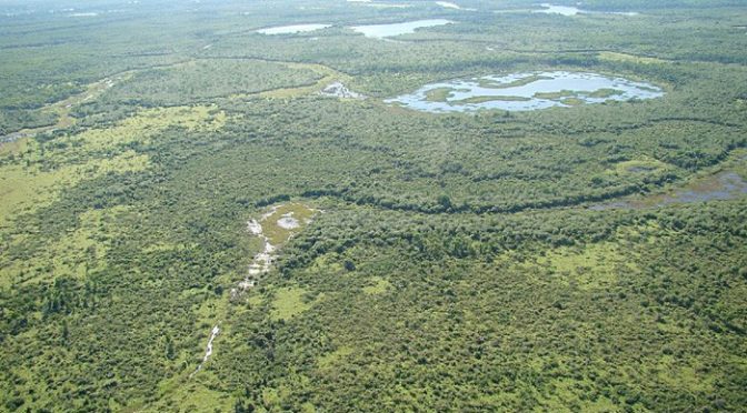 Pantanal brasileiro é destaque em lista que elege os 50 melhores destinos do mundo