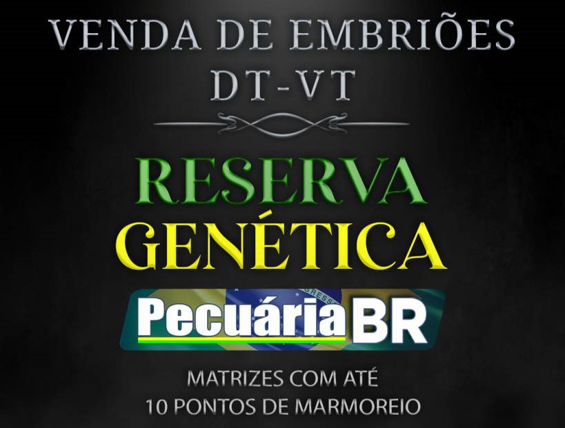 Pecuária BR vende material genético, hoje no Canal do Boi