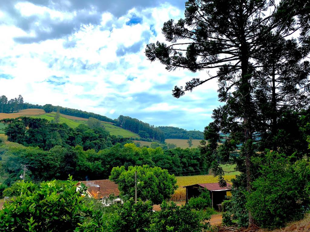 Prazo de envio da declaração do imposto territorial rural termina nesta sexta-feira 