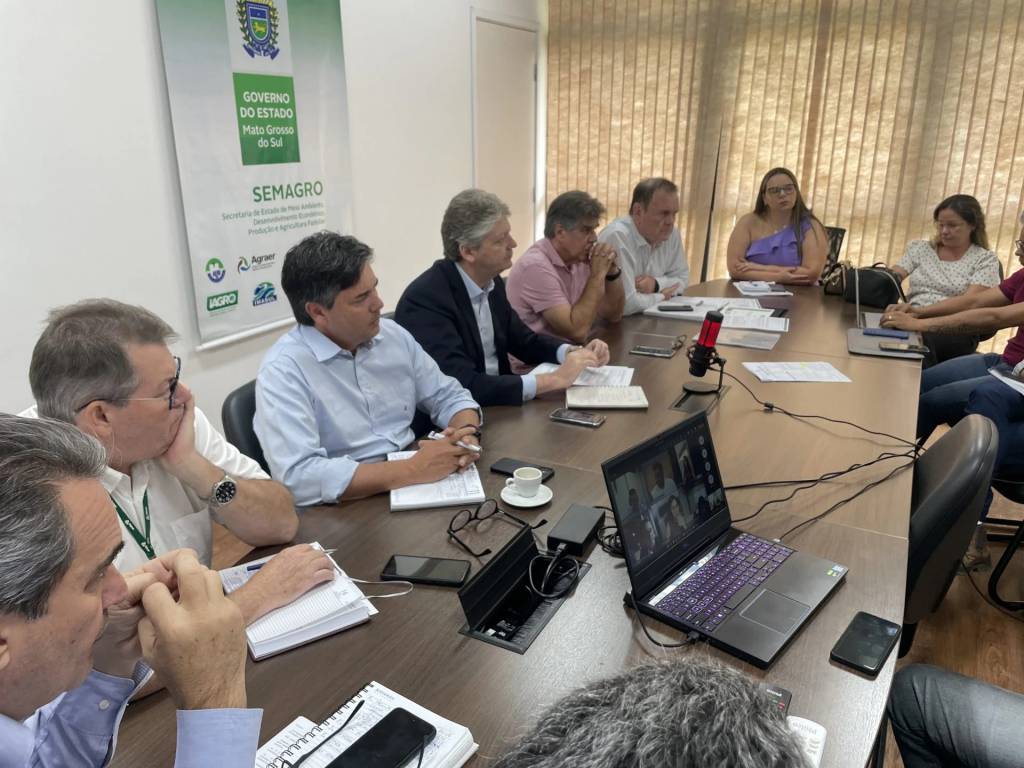 Gripe aviária: Mato Grosso do Sul reforça vigilância na fronteira com a Bolívia