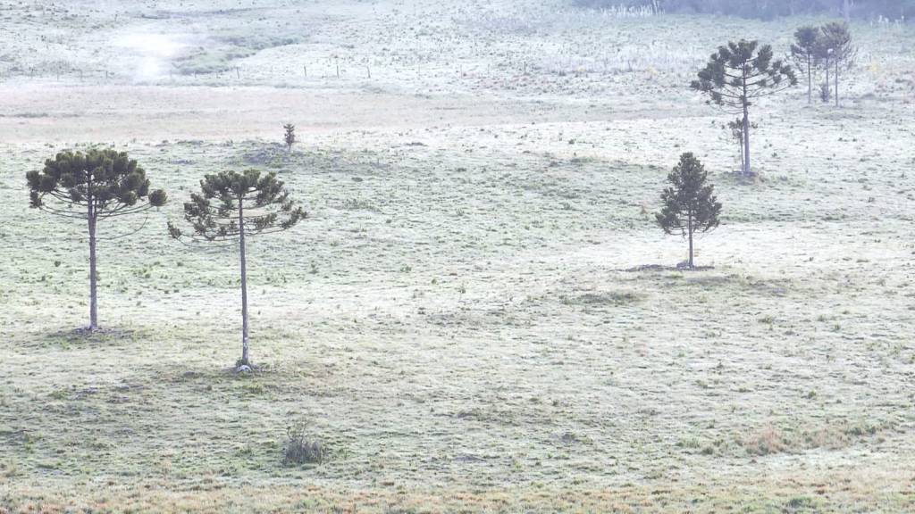 Primeira geada de dezembro é registrada na Serra Catarinense