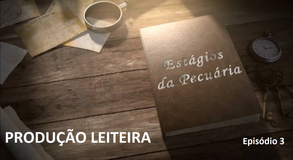 Série especial 'Estágios da Pecuária': produção leiteira. Episódio 3