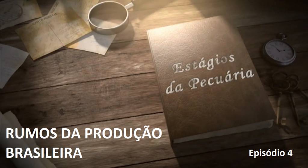 Série especial 'Estágios da Pecuária': rumos da produção brasileira. Episódio 4