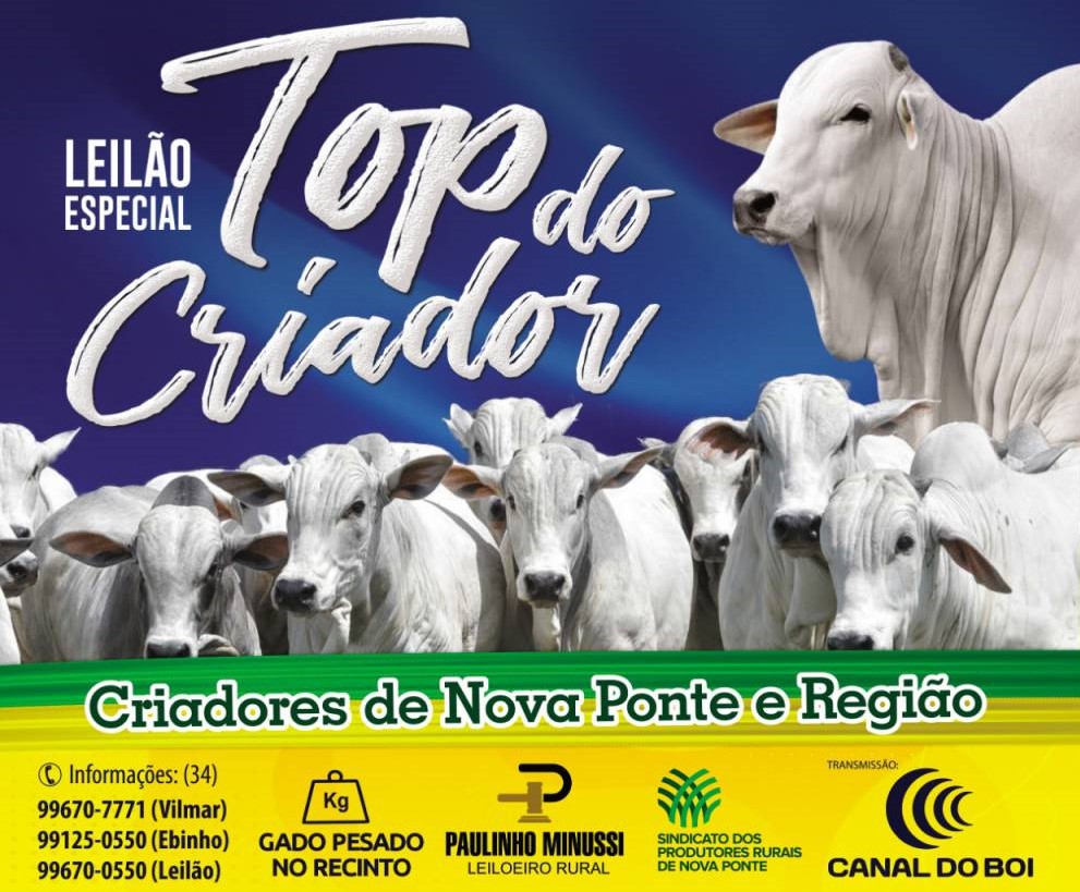 Veja o Leilão Top do Criador, hoje no Canal do Boi
