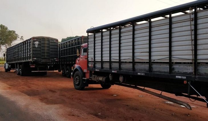 App de transporte de animais deixa de ser obrigatório em MS