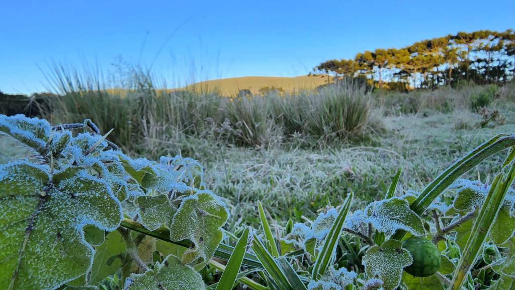 Cidades da Serra Catarinense devem ter geada nesta sexta-feira