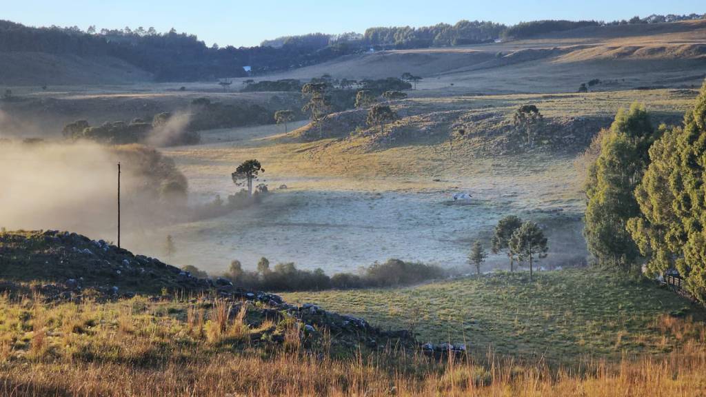 Serra Catarinense registra -0,9 grau durante a madrugada