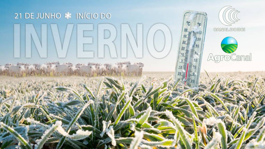 Inverno começa hoje e vai até 23 de setembro 