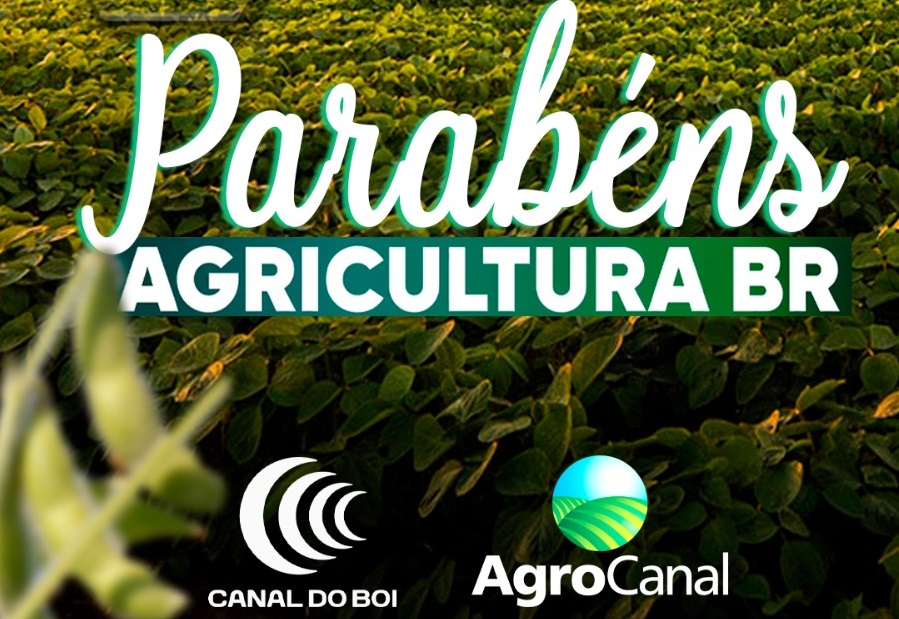Agricultura BR especial 9 anos debate perspectivas para o agro brasileiro hoje