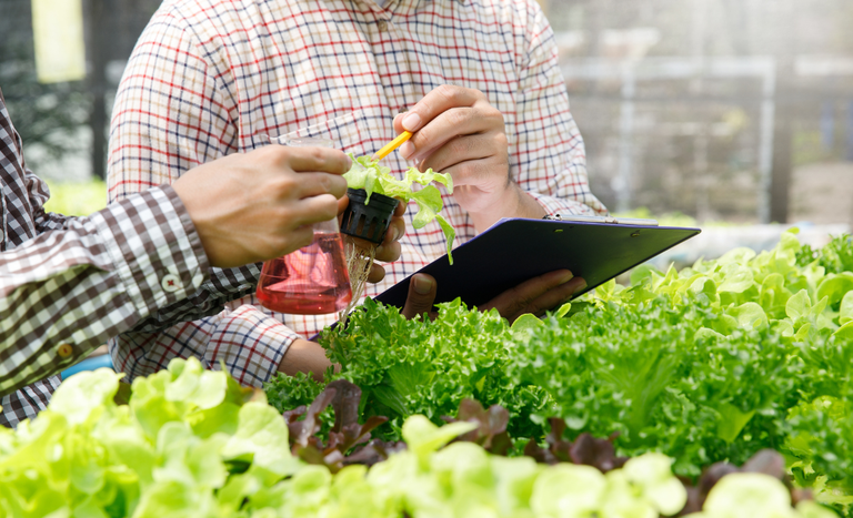 Publicado o plano para desenvolvimento agropecuário e agroindustrial do Matopiba