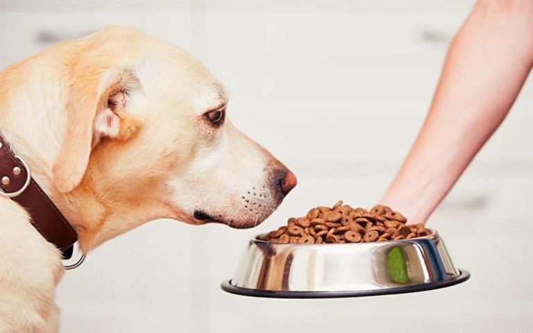 Produto de alimentação animal deve ser retirado do mercado nacional