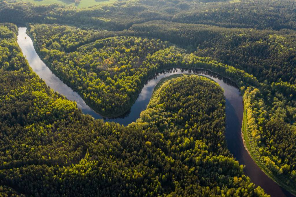Novos postos de controle serão construídos na Amazônia 