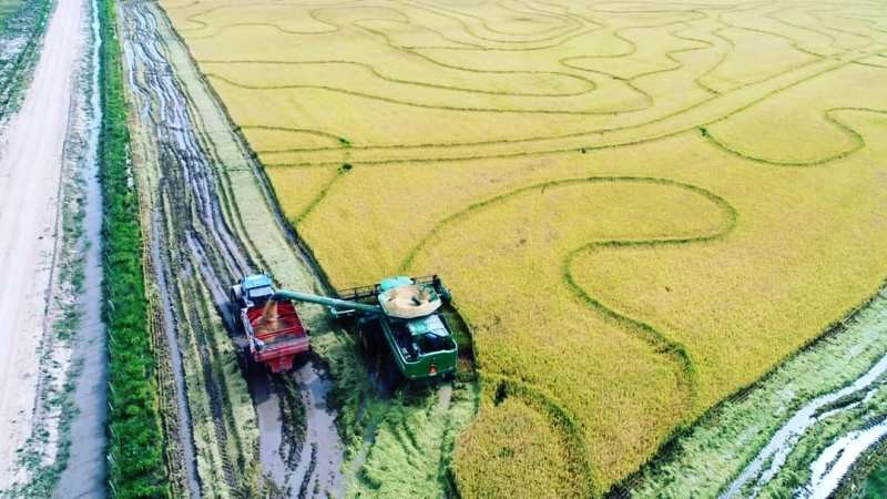 Lei de autocontrole moderniza sistema de fiscalização da produção agrícola