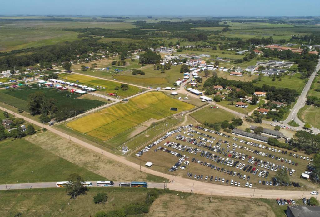 Multissafras será tema da Abertura Oficial da Colheita do Arroz