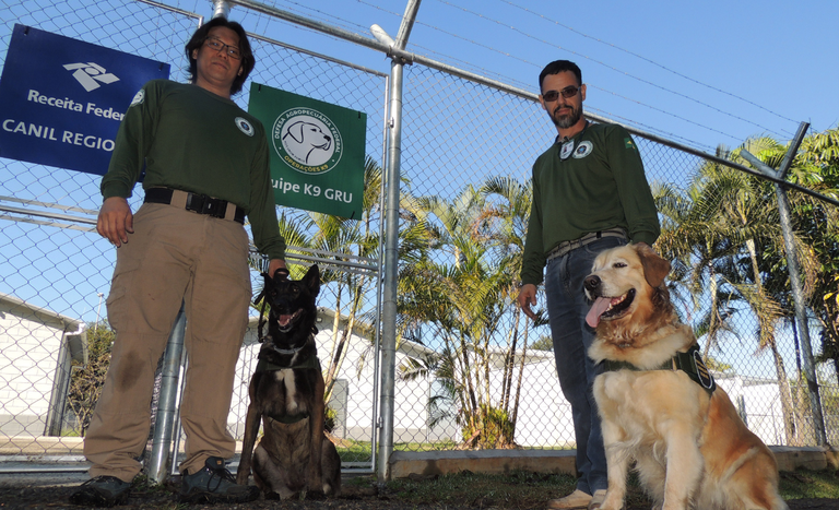 Cães farejadores vão reforçar operações do Mapa em aeroporto