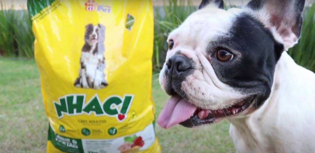 Vendas do mercado pet devem crescer 15% até 2024