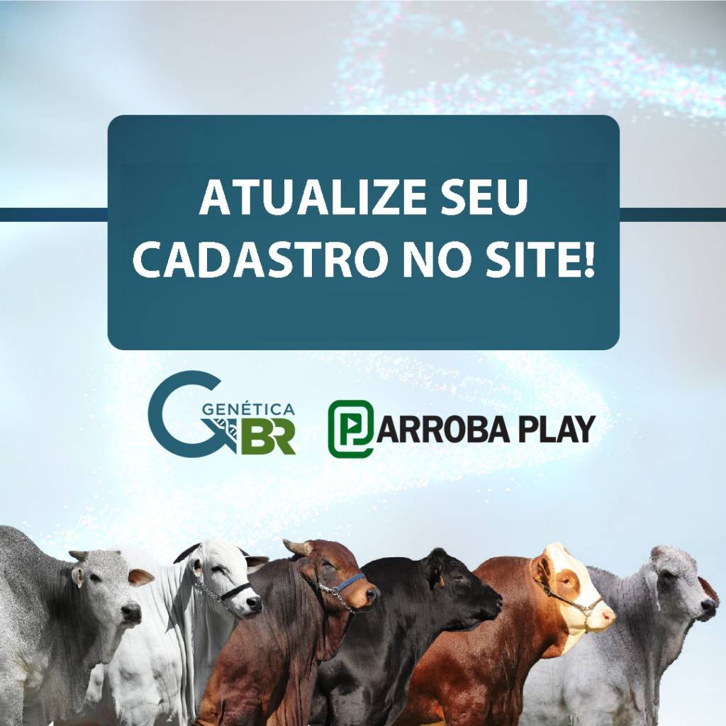 Arroba Play lança atualização cadastral de clientes