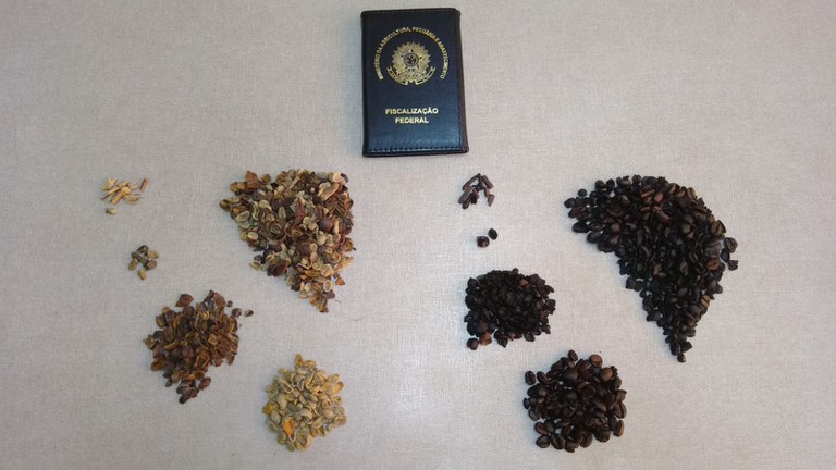 Oito lotes de café são recolhidos por fraude e impureza 
