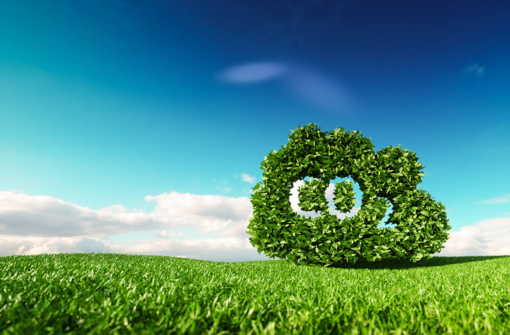 Proposta para regulamentação do mercado de carbono é concluída pelo governo 